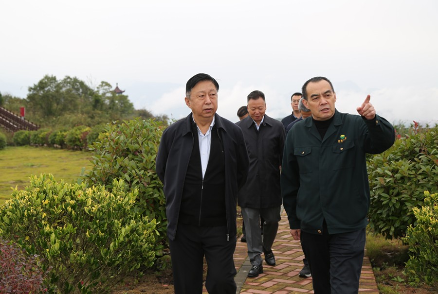 19-2021年10月，原國(guó)土資源部副部長(zhǎng)汪民蒞臨公司調(diào)研。.jpg