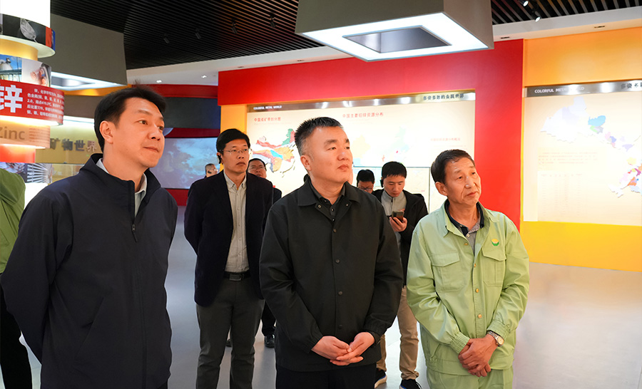 10.4-2024年04月，自然資源部礦保司副司長(zhǎng)王博蒞臨公司調(diào)研。.jpg