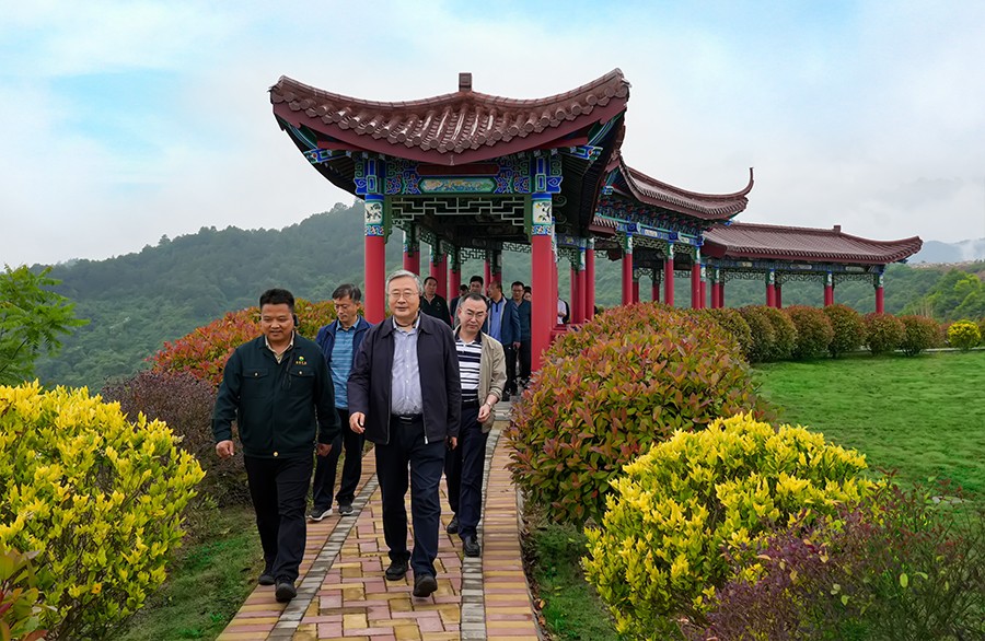 49-2022年5月，省工信廳副廳長(zhǎng)王海峰一行蒞臨金徽股份調(diào)研綠色礦山建設(shè)工作。.jpg