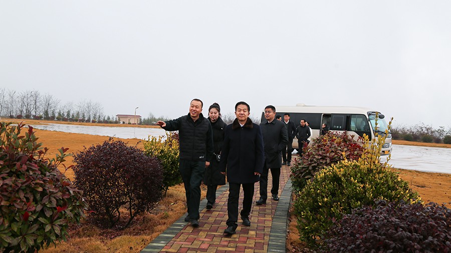 45-2020年12月，省高級(jí)人民法院黨組成員、副院長(zhǎng)任建國(guó)蒞臨金徽股份調(diào)研知識(shí)產(chǎn)權(quán)司法保護(hù)工作。.jpg
